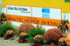 003-frie-baltic-horse-show
