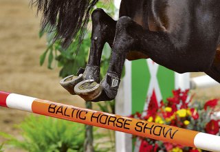 baltic-horse-show